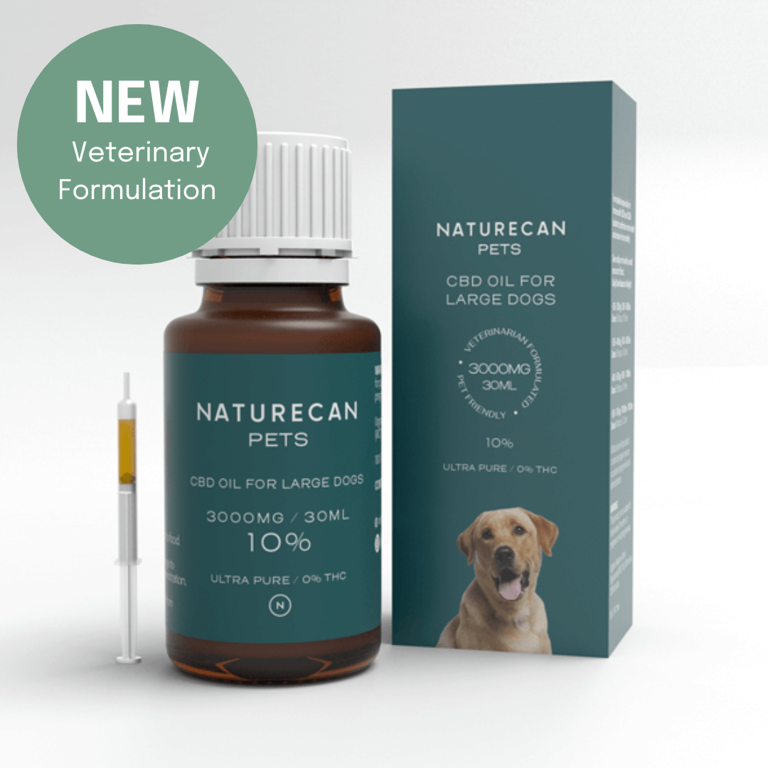 CBD Oil for Dogs for large dogs - 10%