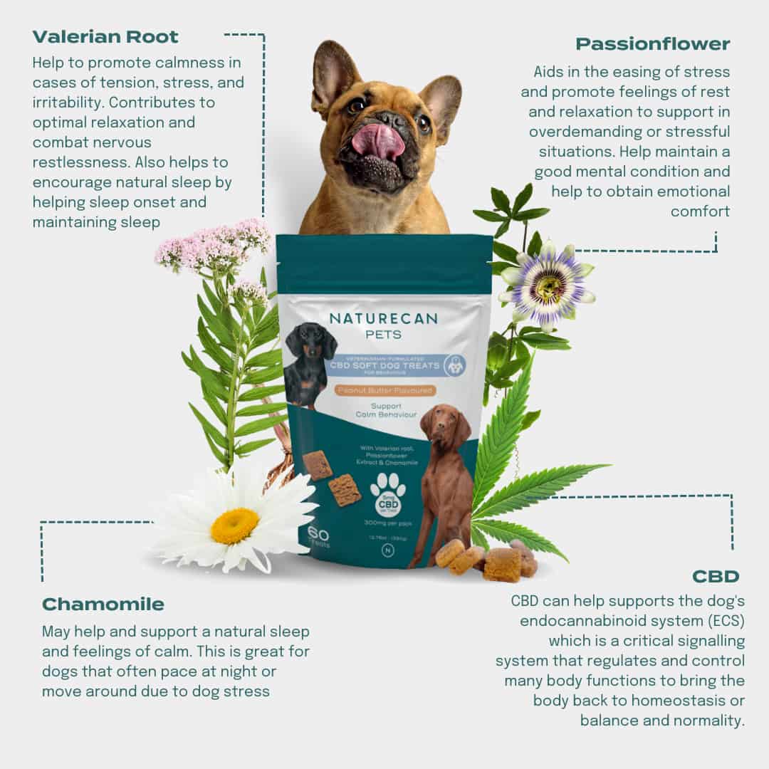 CBD Dog Treats calming ingredients