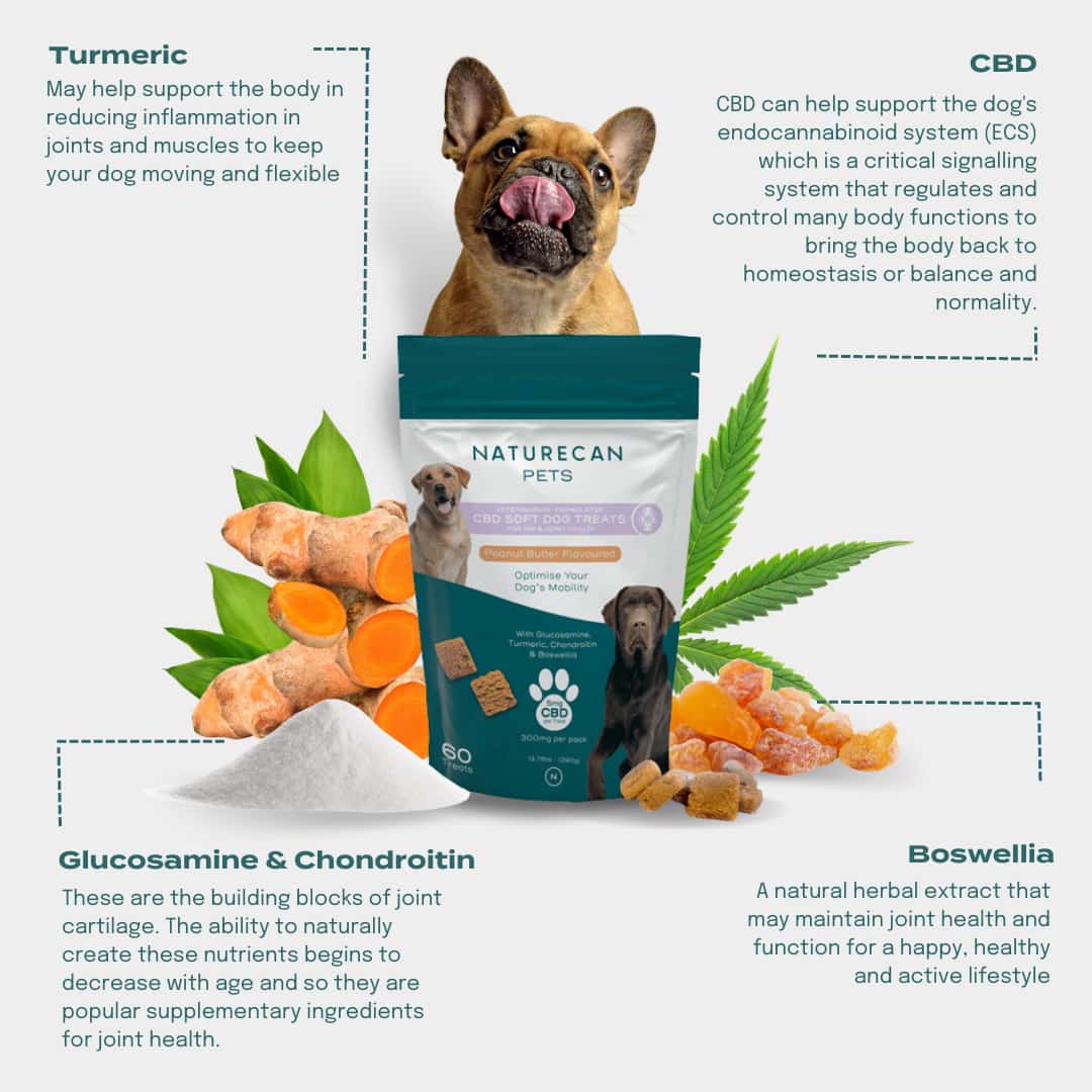 CBD Dog treats for joint health - ingredients