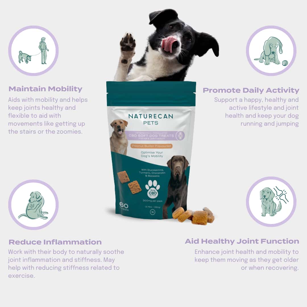 CBD Dog treats Joint Health - maintain mobility, reduce inflammaion, aid healthy joint function 