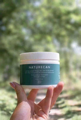 Holding CBD topical balm in the woods